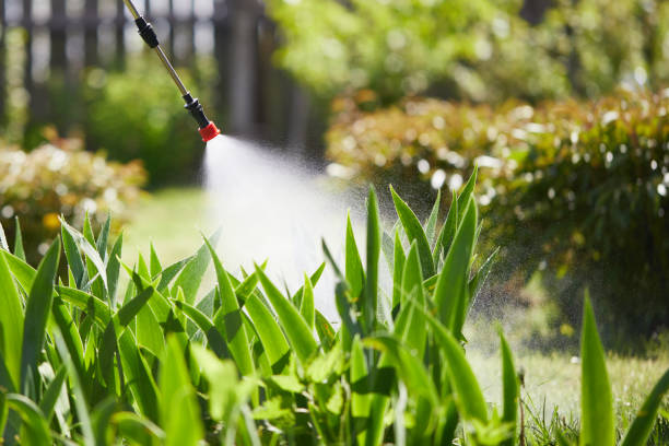 24/7 Emergency Fumigation Services experts in Kalamazoo, MI