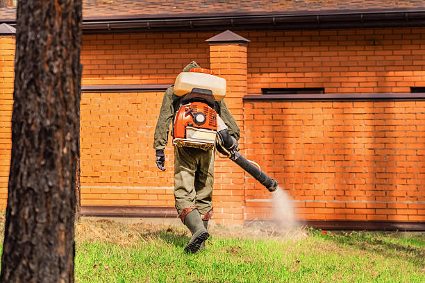 Trusted Rodent Control service in Kalamazoo, MI - Nex Pest Control